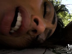 Sweet ass girl moaning from intense pussy fucking