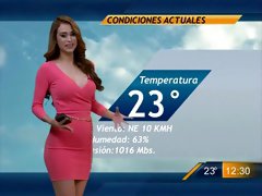 Sexiest weather woman in the history