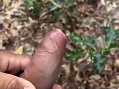Curious guys are in the forest looking for fun, in the end a huge load